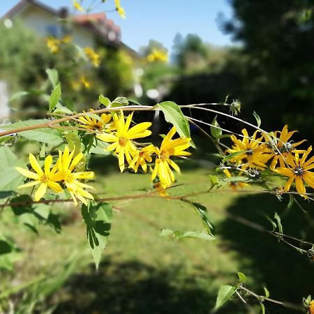 Fewo Happy Place In Traumhafter Lage See Nah Utting am Ammersee Eksteriør bilde