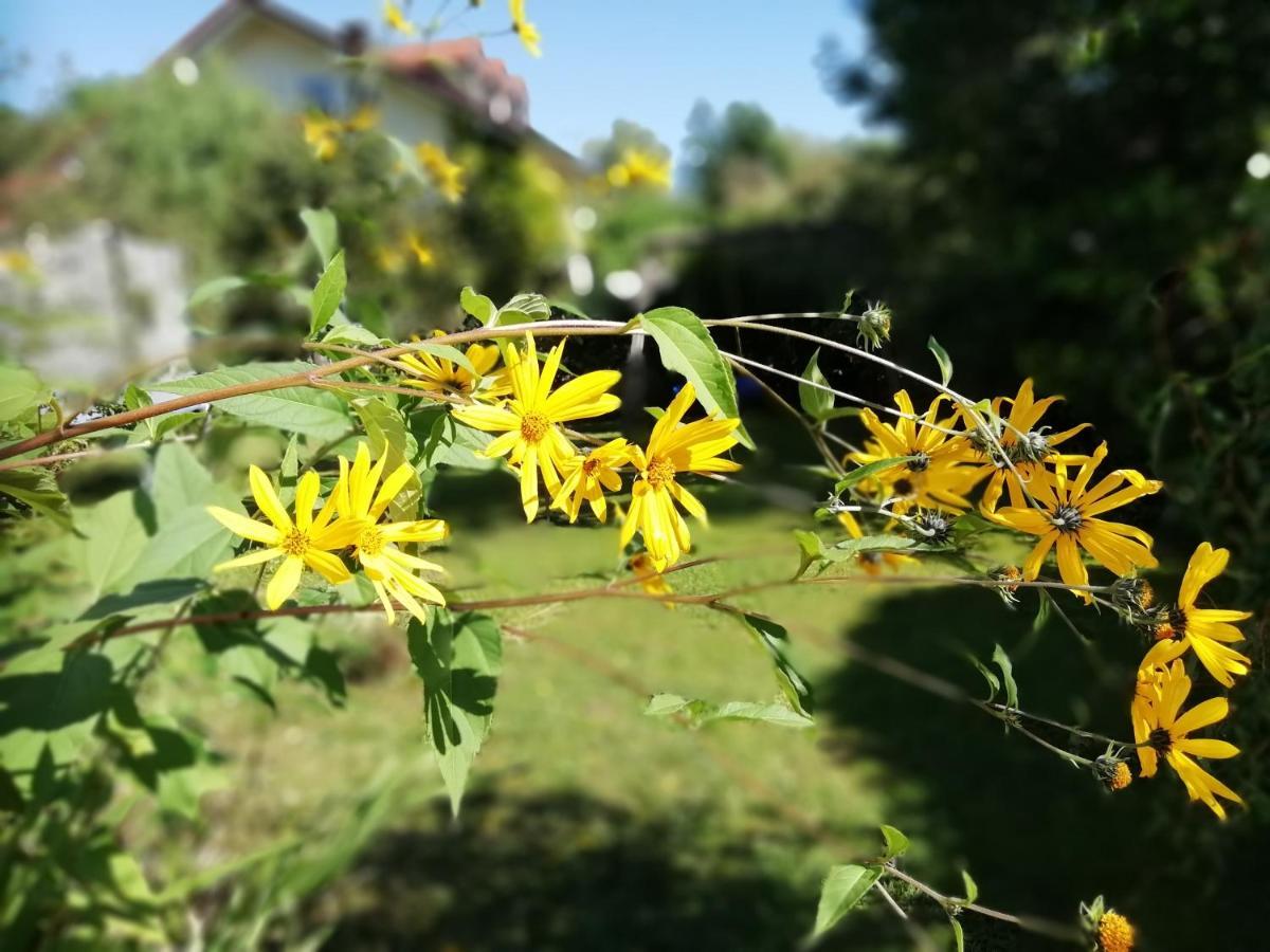 Fewo Happy Place In Traumhafter Lage See Nah Utting am Ammersee Eksteriør bilde